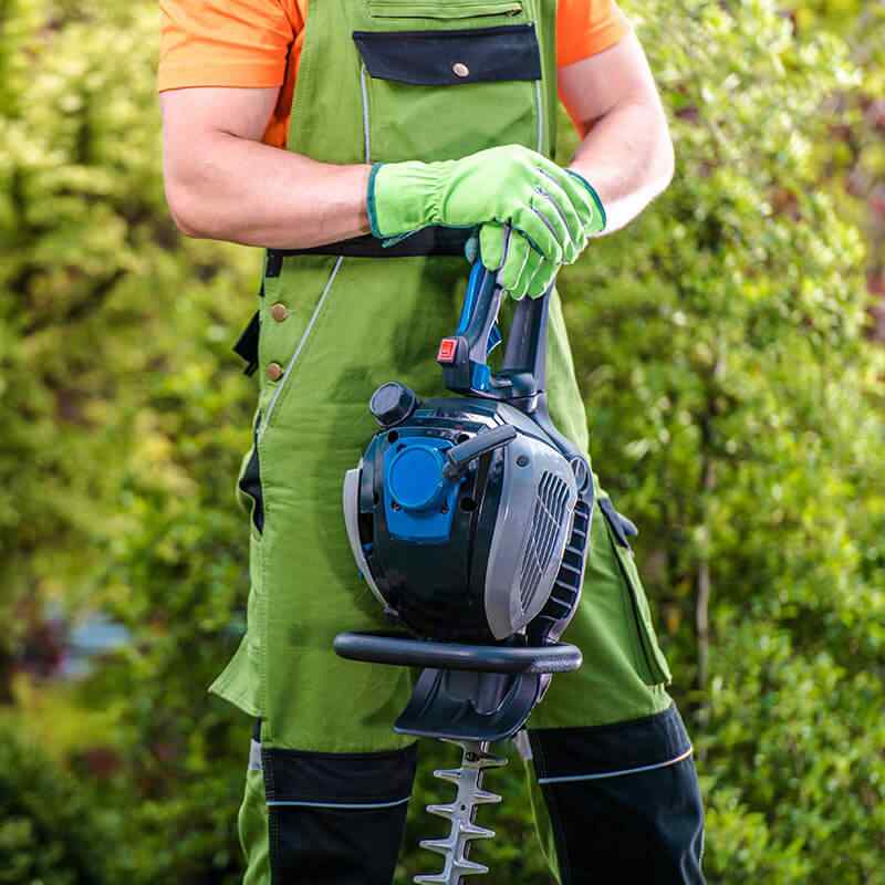 Parra Landscaping And Construction - new orleans landscape - services image-1